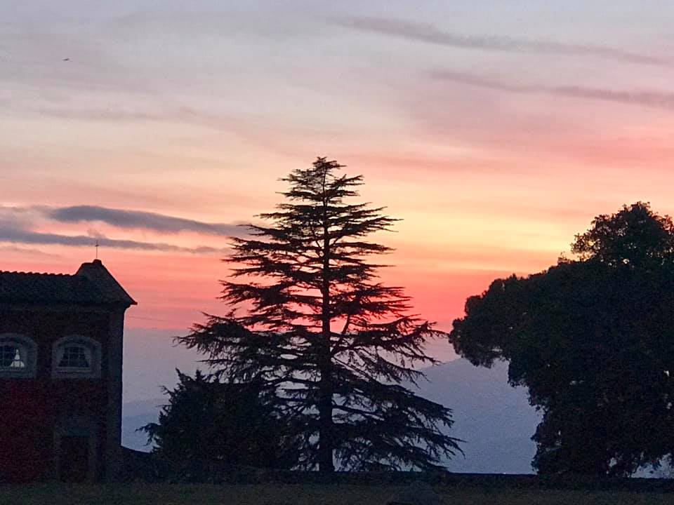 cedro-tramonto