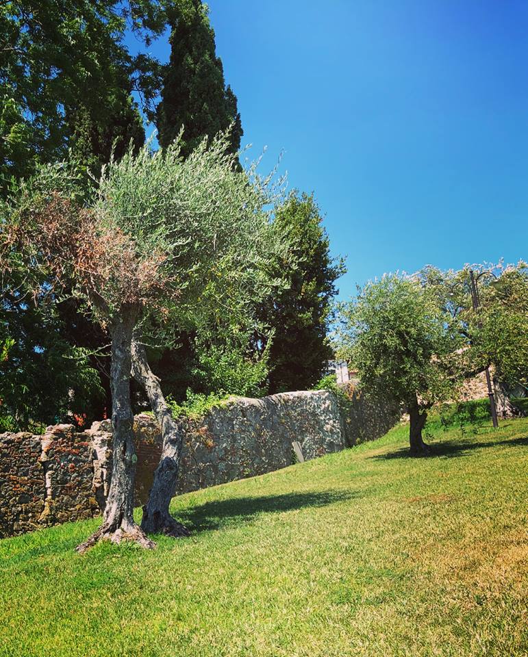 muro-piscina