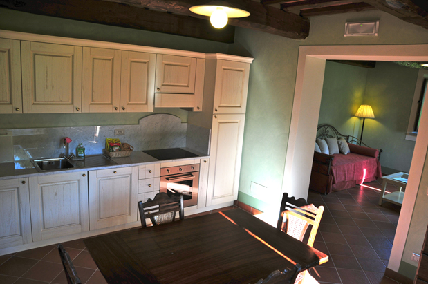 Ludovico-kitchen area